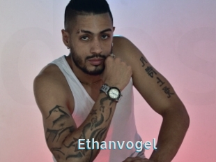 Ethanvogel