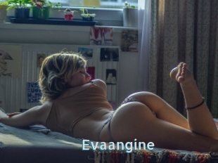 Evaangine