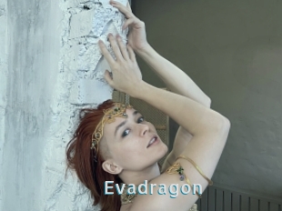 Evadragon