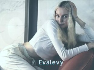 Evalevy