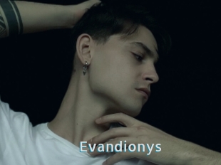 Evandionys