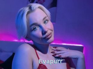 Evapurr