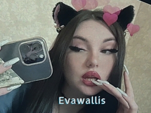 Evawallis