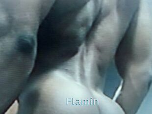 Flamin