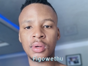 Figowethu