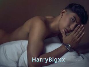 HarryBigxx