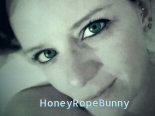 HoneyRopeBunny