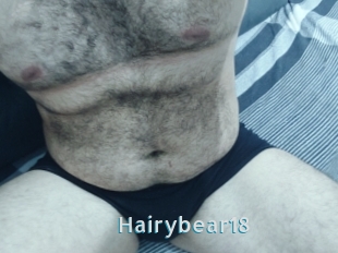 Hairybear18