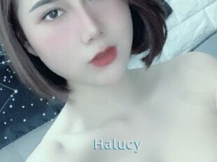 Halucy