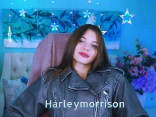 Harleymorrison