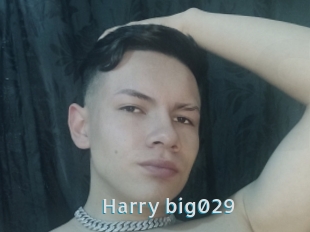 Harry_big029