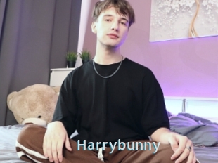 Harrybunny