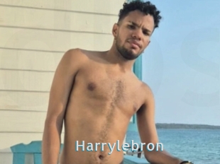 Harrylebron