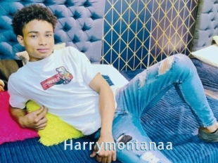 Harrymontanaa