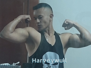 Harveywull