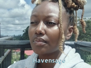 Havensage