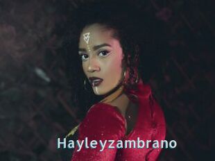 Hayleyzambrano