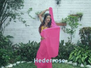 Hederrose