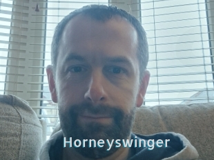 Horneyswinger