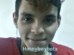 Hornyboyhotx