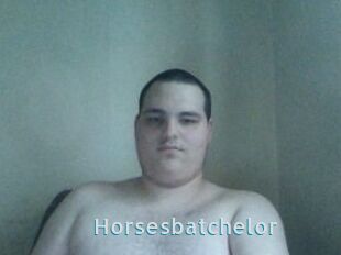 Horsesbatchelor