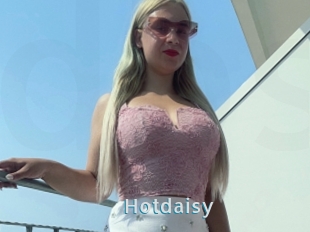 Hotdaisy