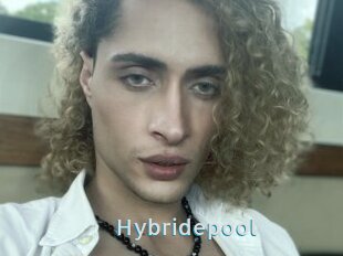 Hybridepool