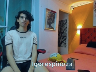 Igorespinoza