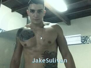 Jake_Sulivan