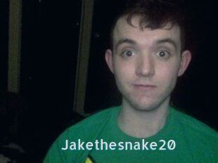 Jakethesnake20