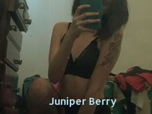 Juniper_Berry