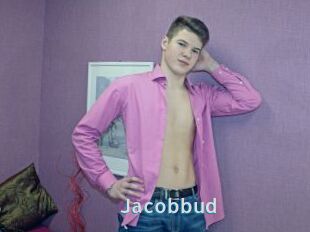 Jacobbud