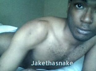 Jake_tha_snake