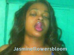 Jasmineflowersbloom