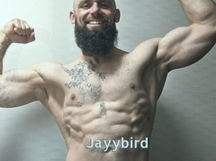 Jayybird