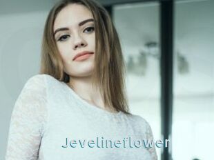 Jevelineflower