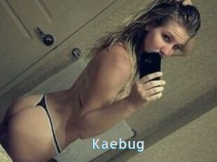 Kaebug