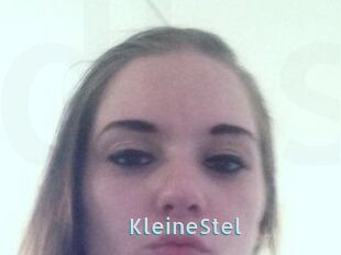 KleineStel