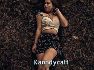 Kanndycatt