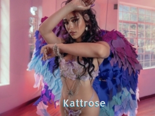 Kattrose