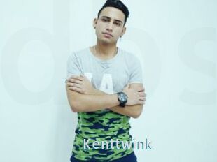 Kenttwink