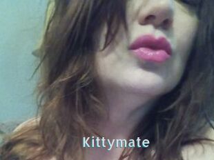 Kittymate