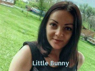 Little_Bunny_