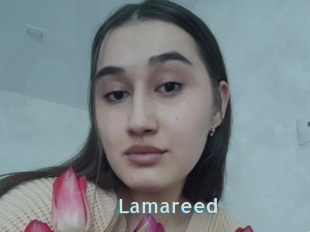 Lamareed