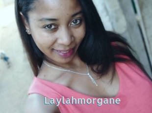 Laylahmorgane