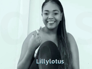 Lillylotus