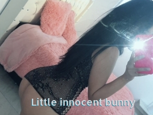 Little_innocent_bunny