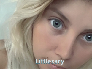 Littlesary