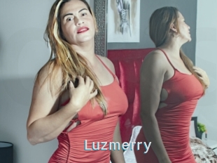 Luzmerry