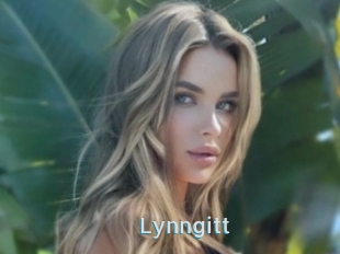 Lynngitt